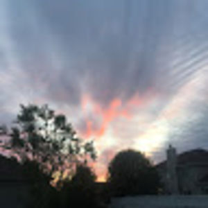 Meet your Posher, Irsa